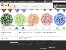 Tablet Screenshot of csiszi.com